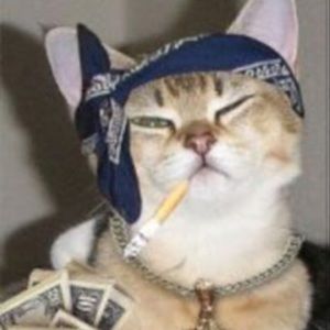 Meet your Posher, Tyler